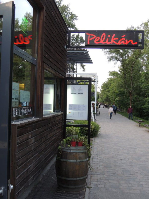 pelikan013