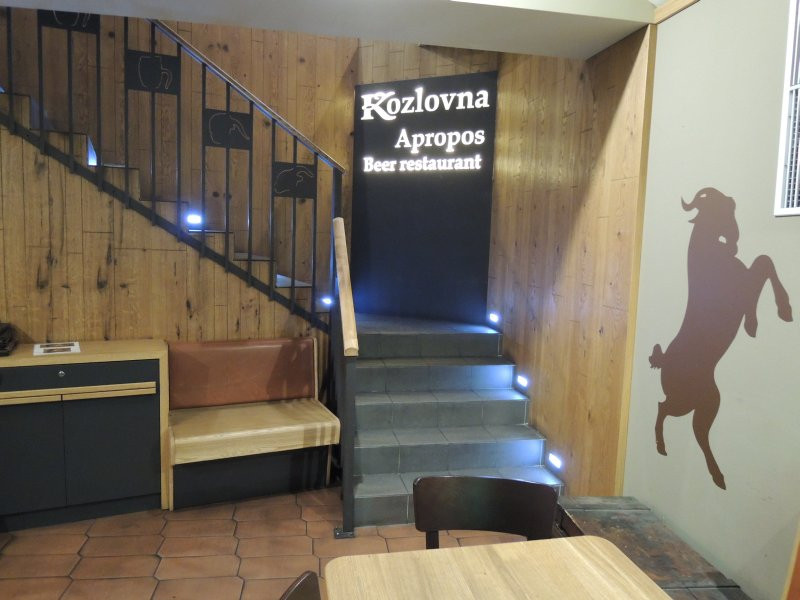 kozlovna016