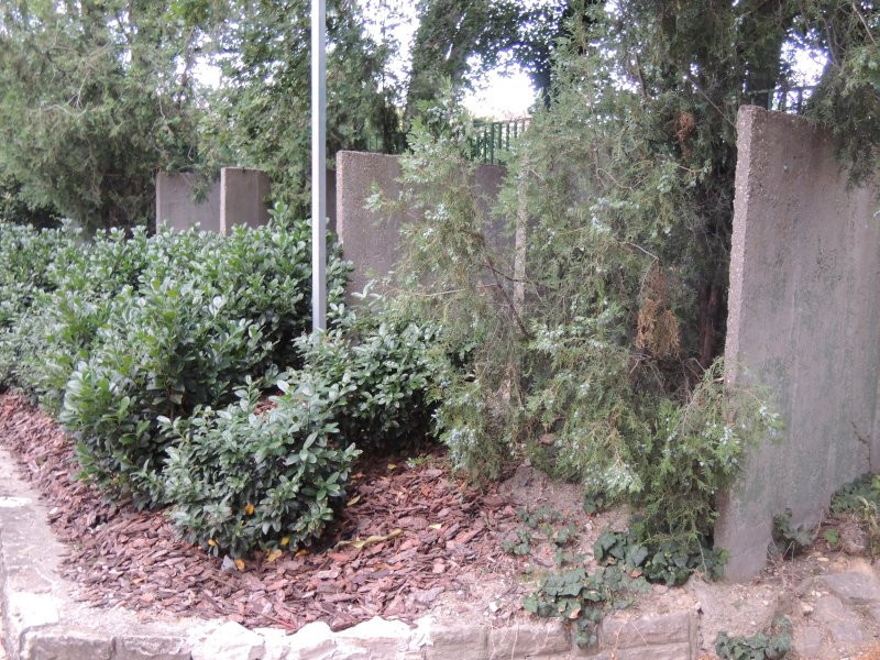 budaiparkszinpad034