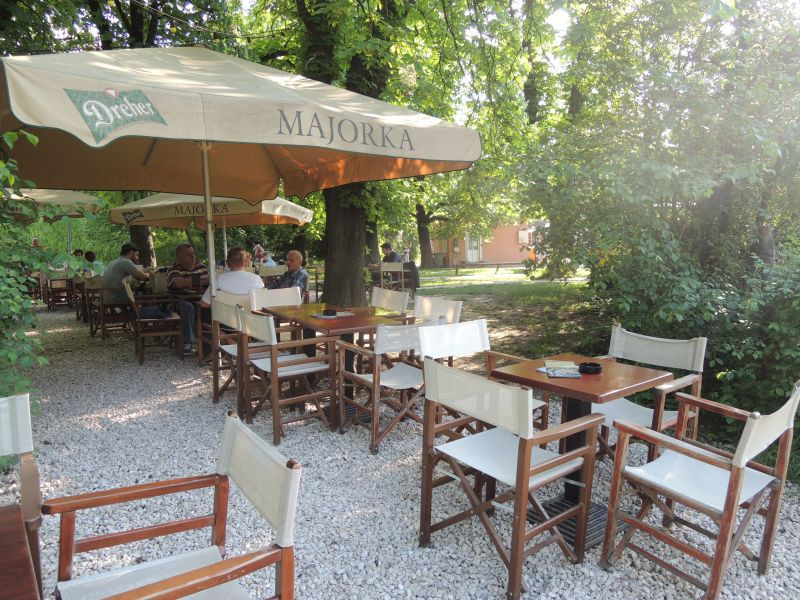 majorka14