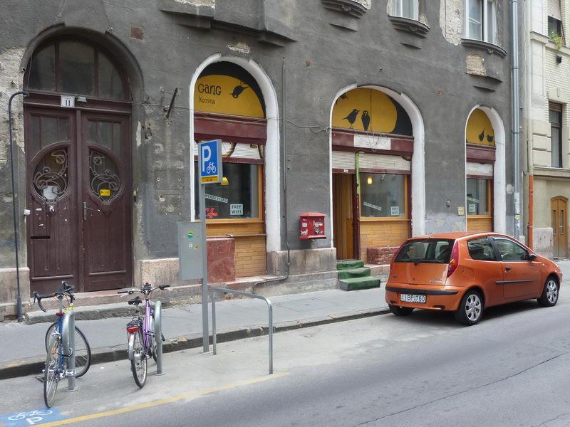 Csiripelő madarak