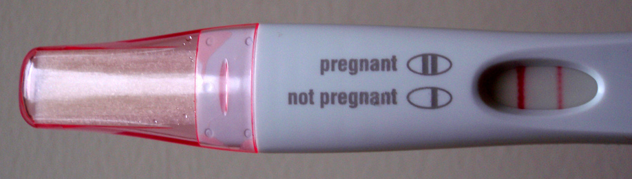 pregnant.png