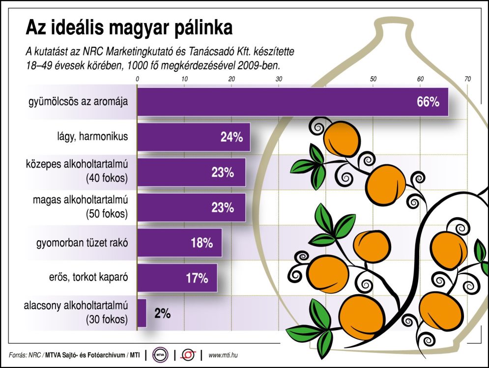 idealispalinka.jpg