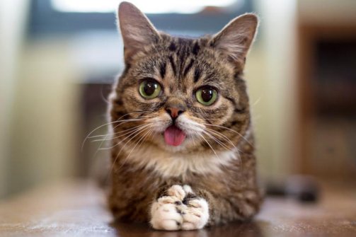 bub.jpg