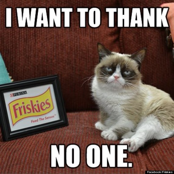 o-GRUMPY-CAT-FRISKIES-570.jpg