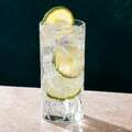 Gin Tonic