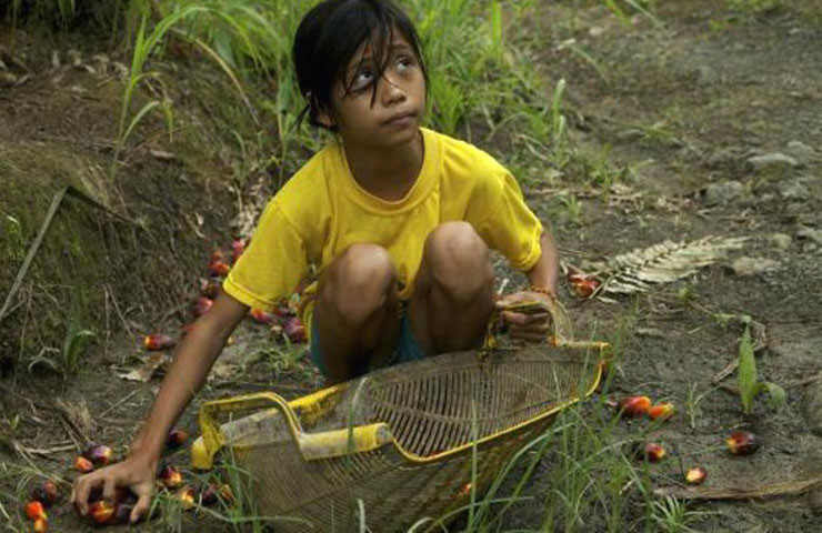 palm-oil-child-labor.jpg