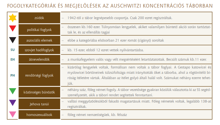 auschwitz_historia_i_terazniejszosc_wer_wegierska_2010_indd.png