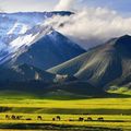 Utazás - Expedíció Ujguriában    