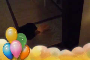 Ingrid -Kelly ilyen volt ilyen lett