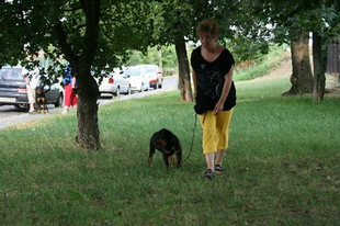 Stressz mentes séta a cél