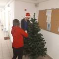 Karácsonyi készülődés a Tisza István Kollégiumban