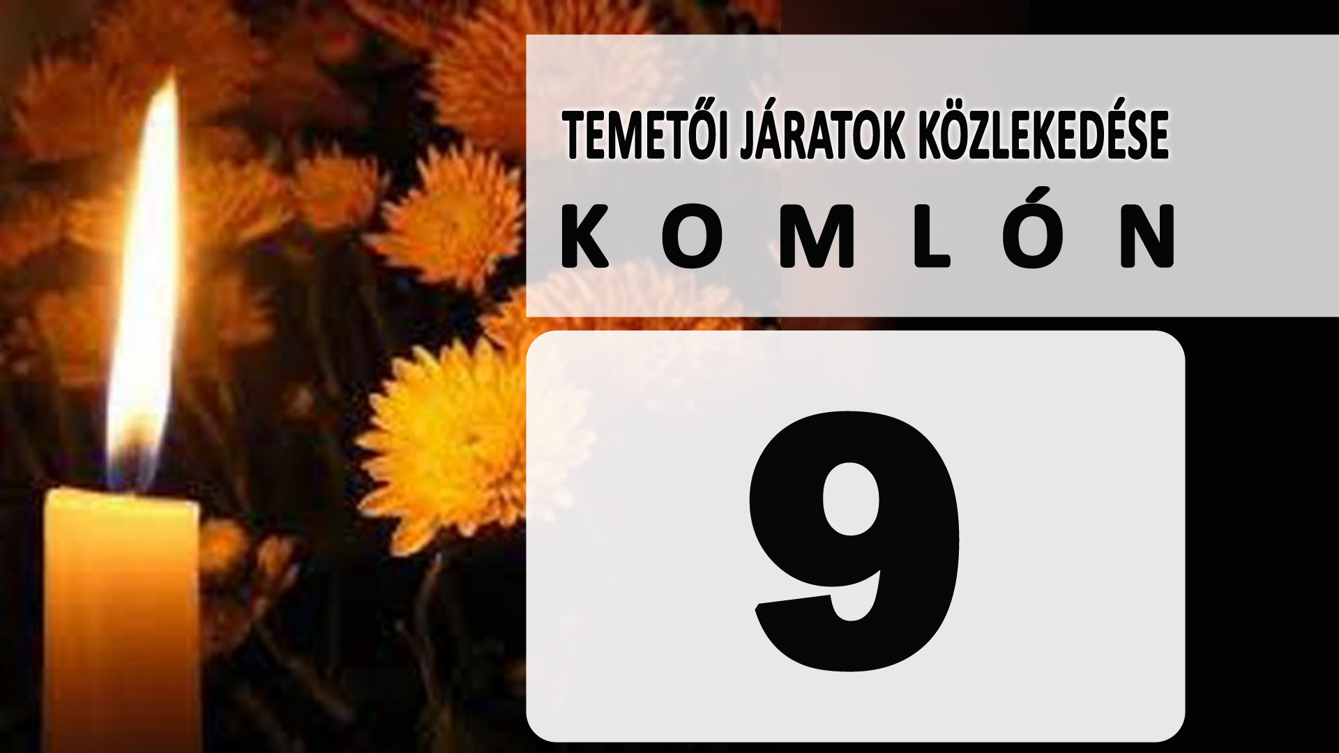 temetoi_jaratok.jpg