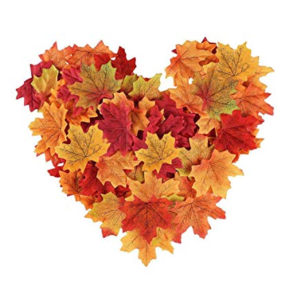 leaves.jpg