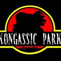 Parkong System, avagy sétáljon Ön is Konggal, miután sikerült parkolóhelyet találniuk....