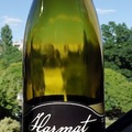 Sauska Harmat Sauvignon Blanc 2008