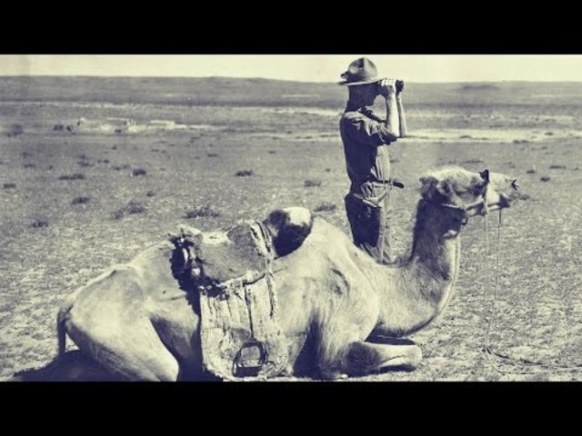 #6 "Fossil Hunting In the Gobi" 360 fokos dokumentumfilm