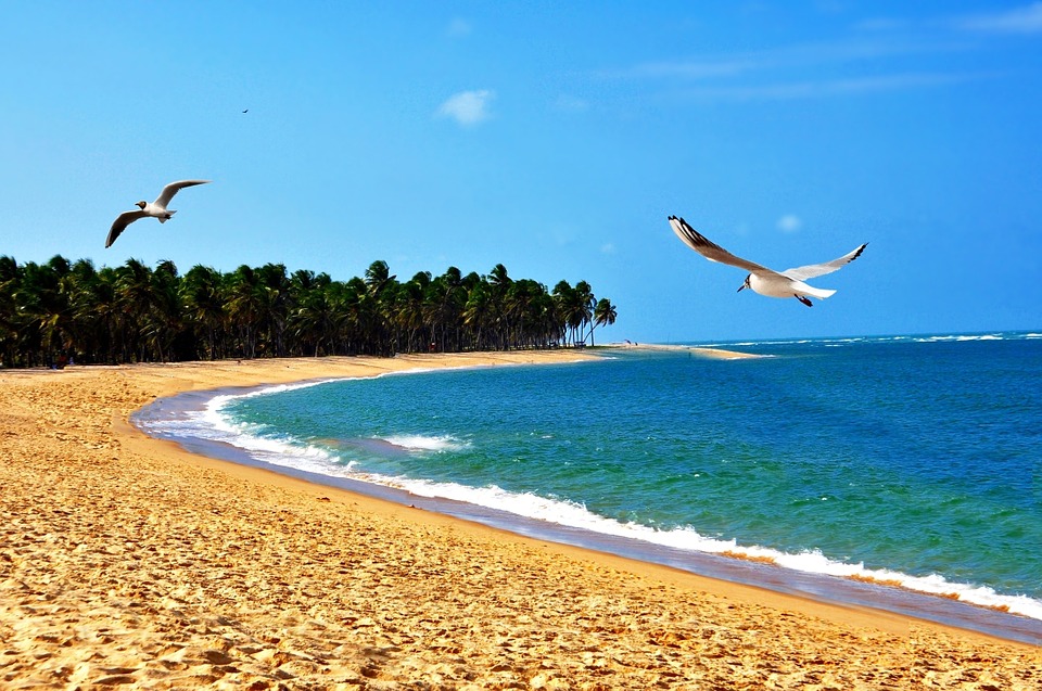 beach-1019390_960_720.jpg