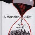 Nick Hornby - A Meztelen Juliet