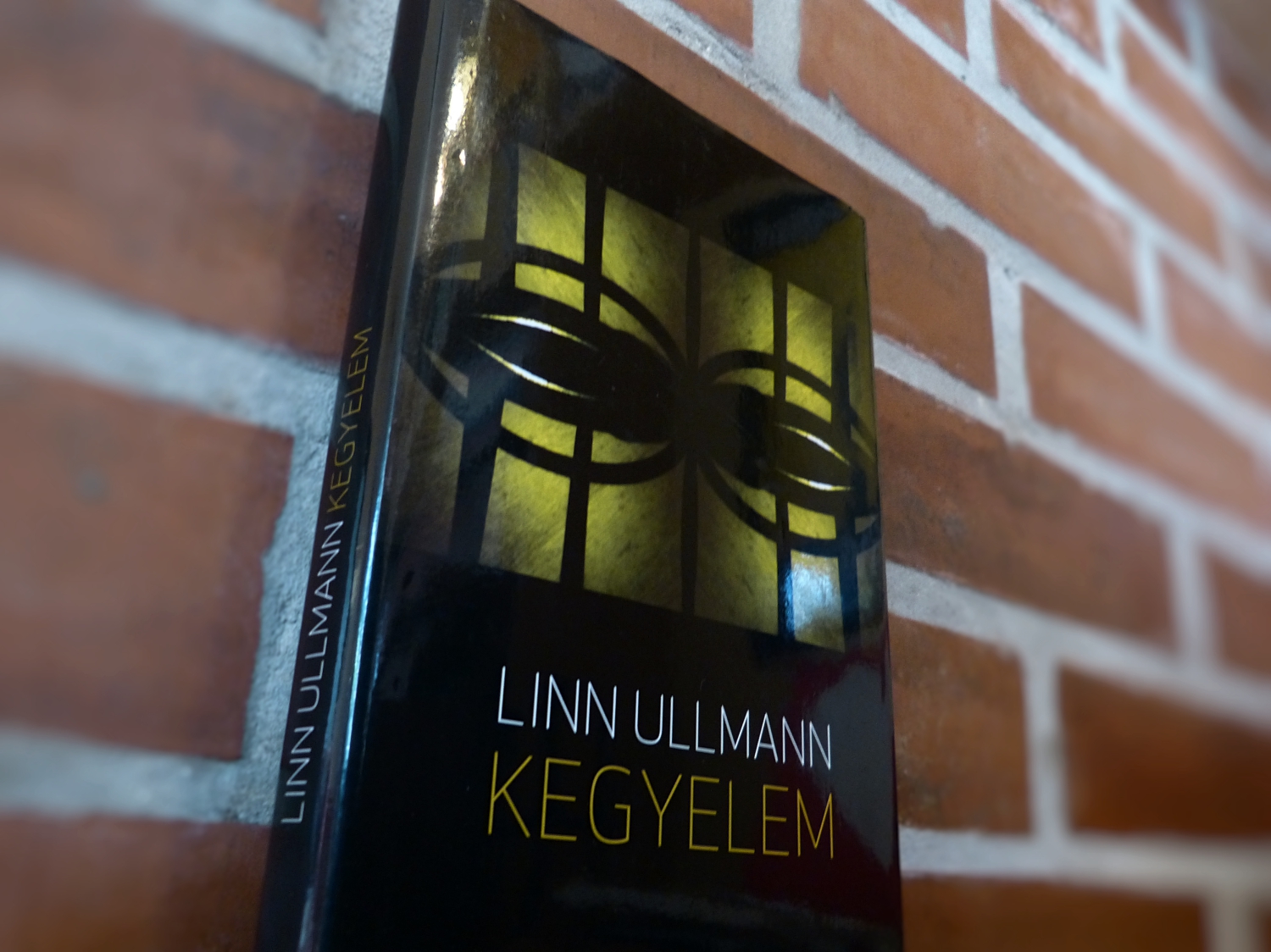Linn Ullmann: Kegyelem