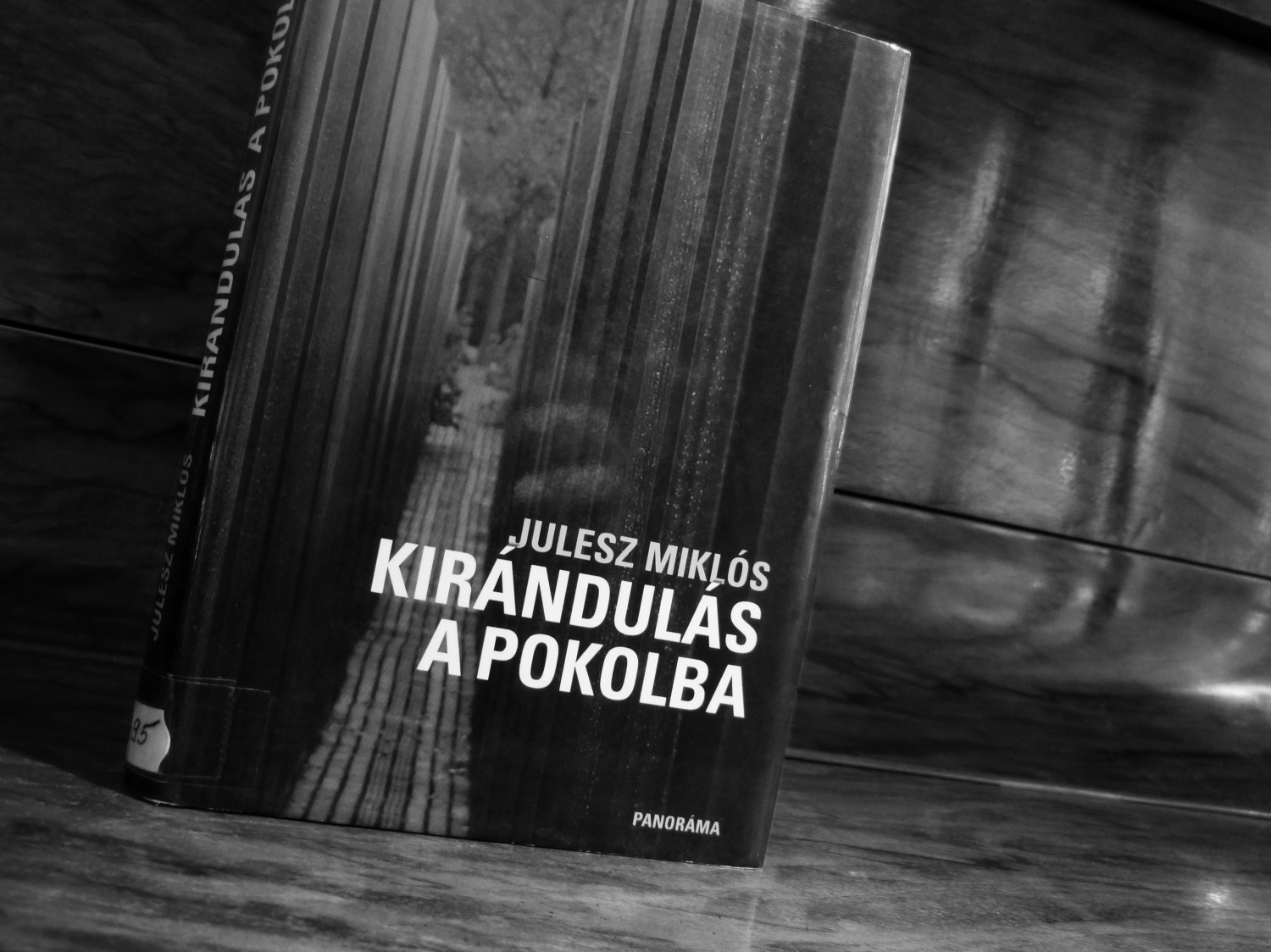 Julesz Miklós: Kirándulás a pokolba