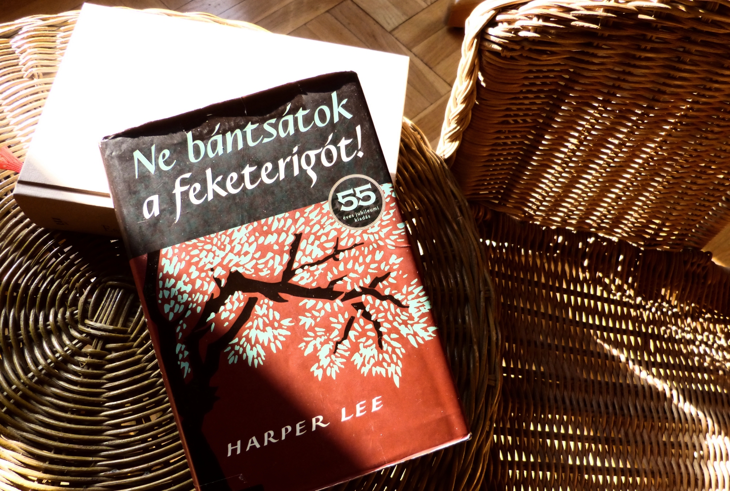 Harper Lee: Ne bántsátok a feketerigót