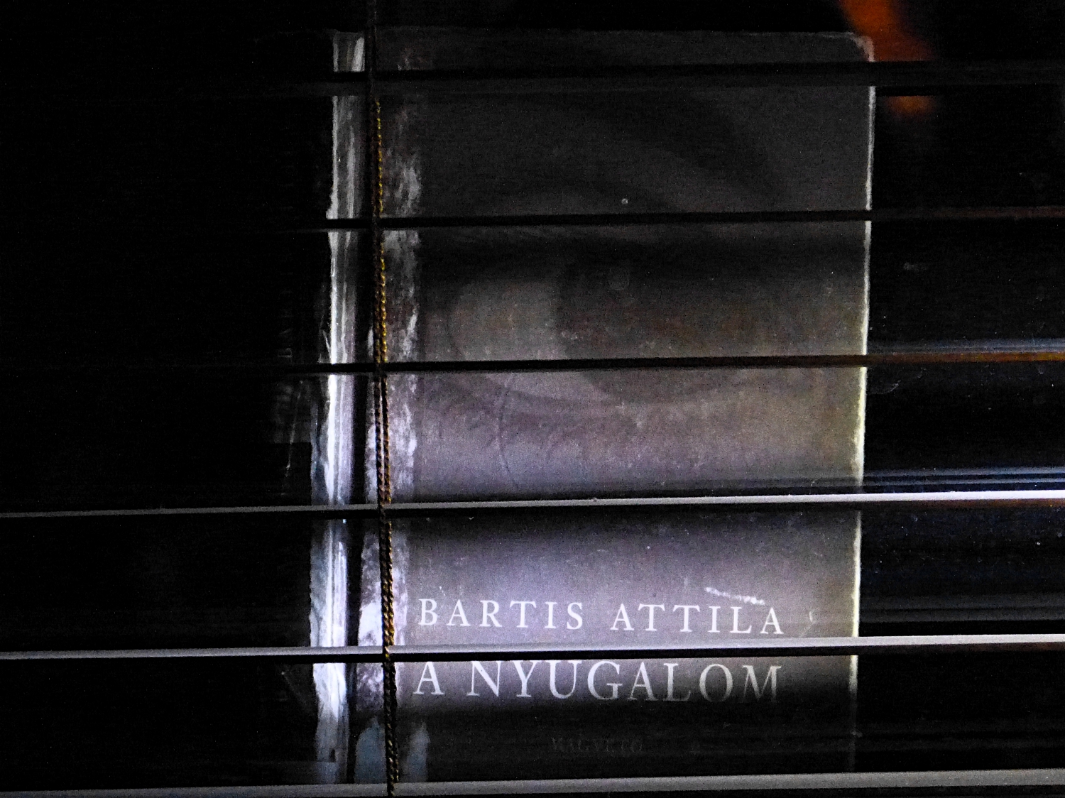 Bartis Attila: A nyugalom