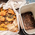 "A Komposztálás Varázsa: Az Ételfelhasználás és Kertgazdálkodás Fenntartható Eszköze"