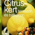 Citruskert teraszon és balkonon