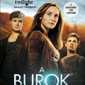 Stephenie Meyer: A burok