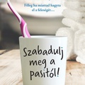 Jane Fallon: Szabadulj meg a pasitól!
