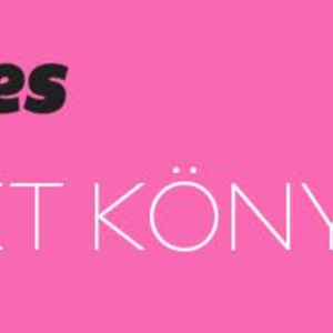 A Szolgálólány már nem mese