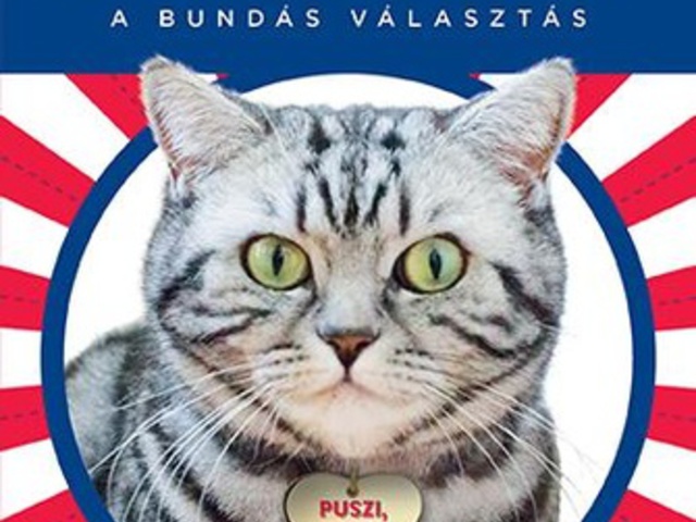 Az Elnökasszony