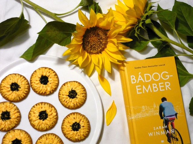 Sarah Winman: Bádogember
