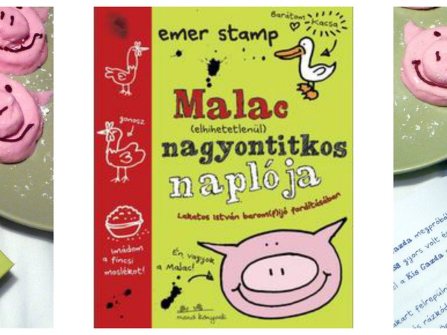 Emer Stamp: Malac ​(elhihetetlenül) nagyontitkos naplója