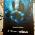 Németh Balázs: A félelem rezidense