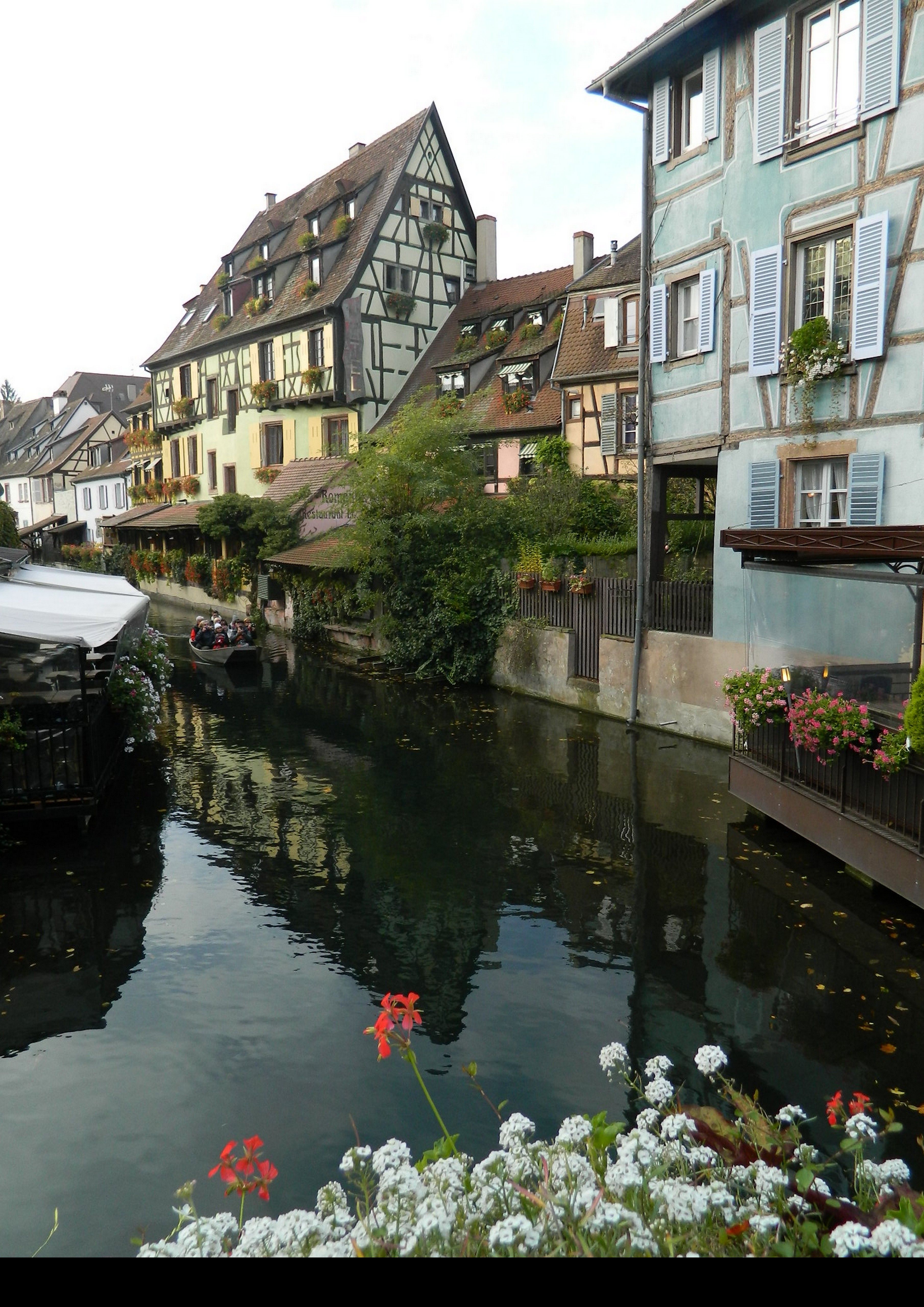 colmar_1.jpg