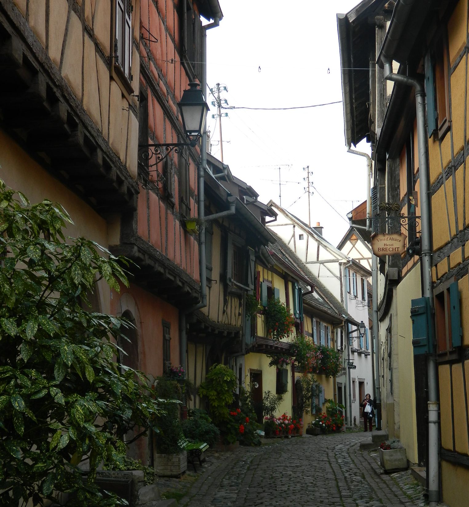 eguisheim.jpg