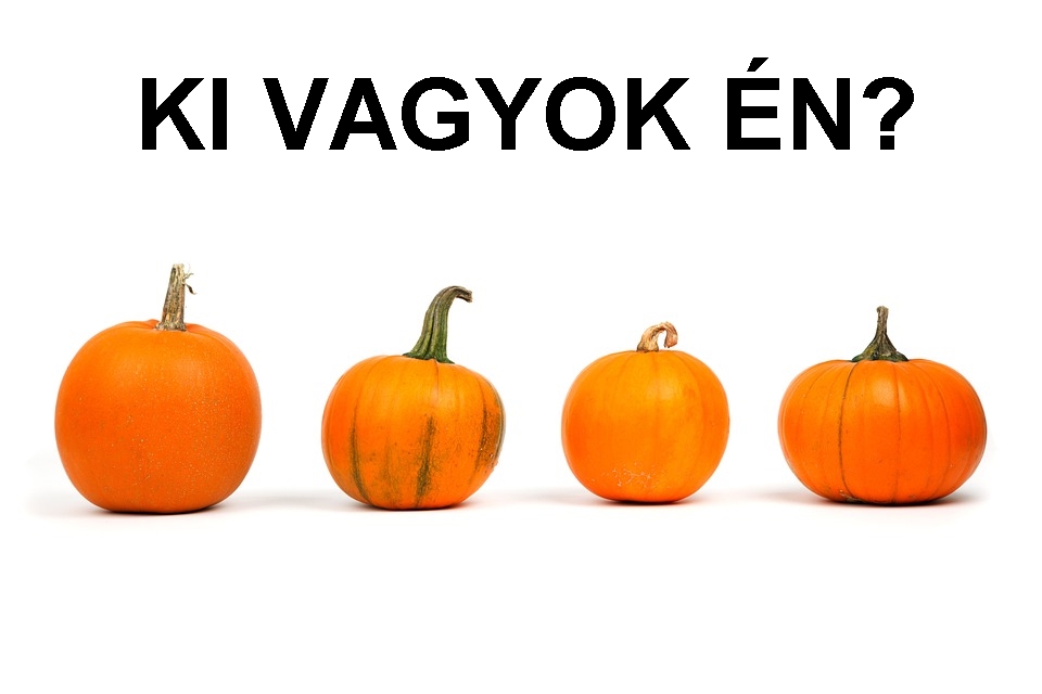 kivagy.jpg