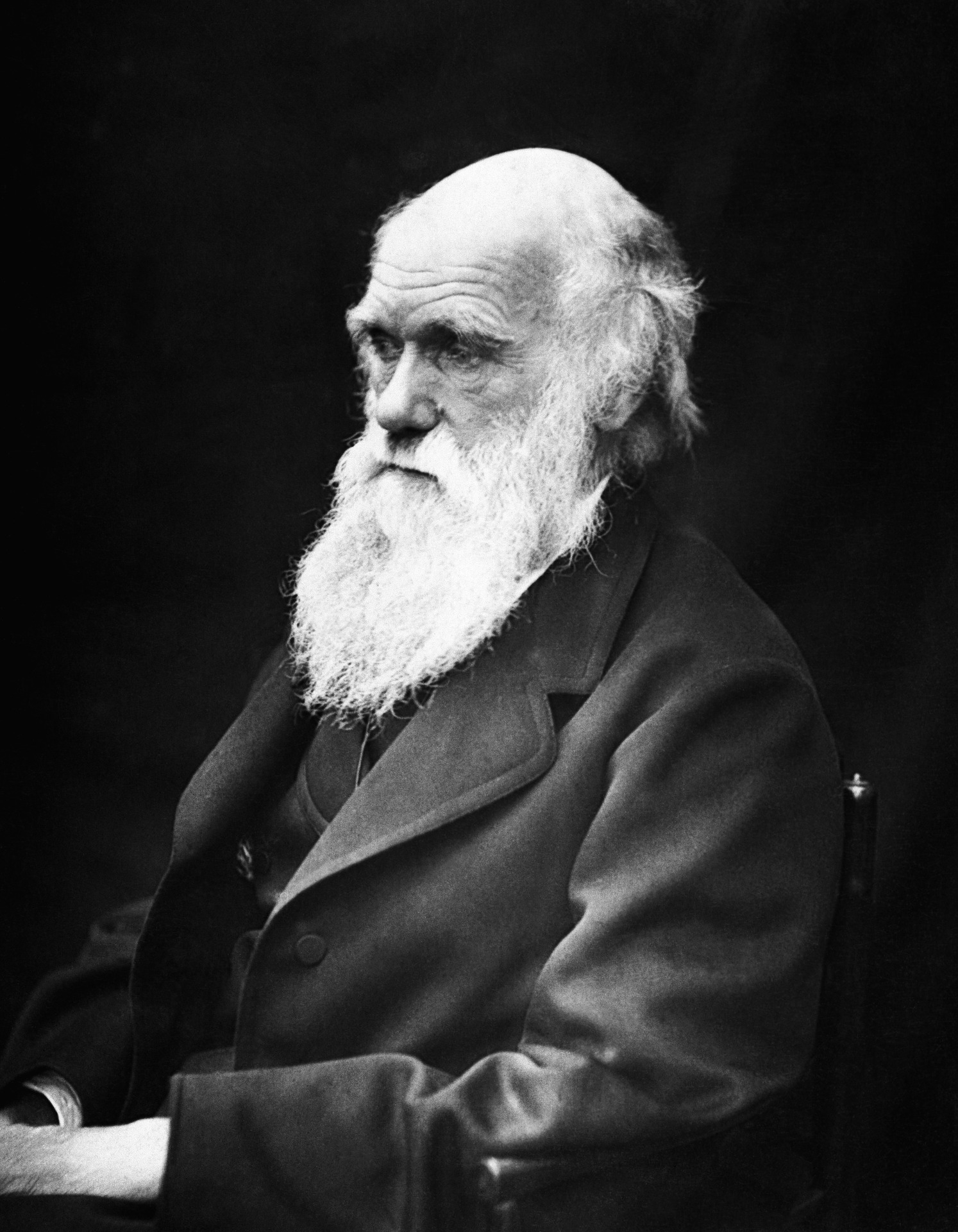 charles-robert-darwin-62911_1920.jpg