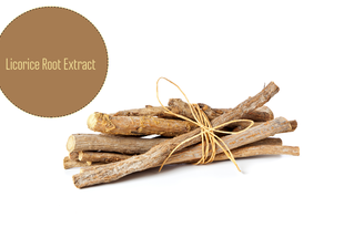 Licorice Root Extract