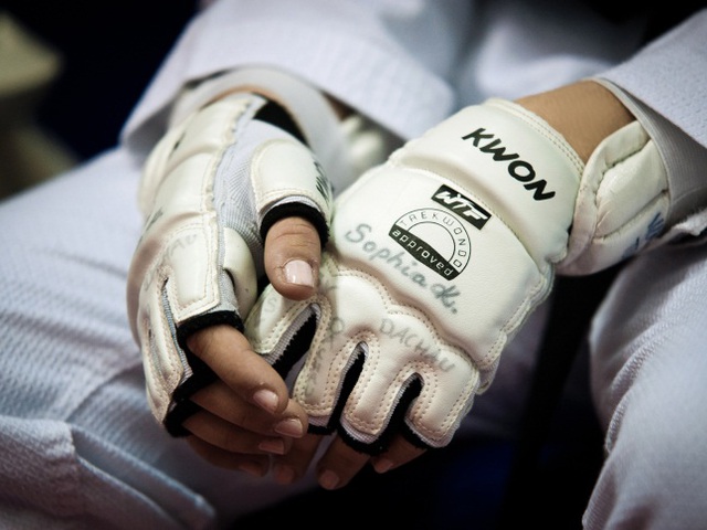 „Art of taekwondo”