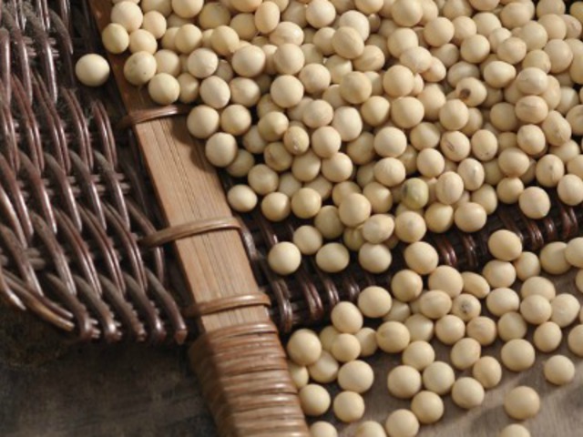 Khong (콩)