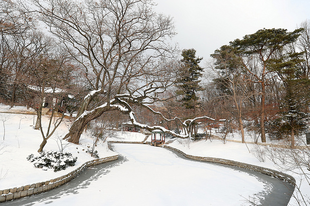 Hóesés a Changdeokgung palotában