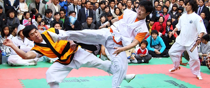 taekkyeon.png