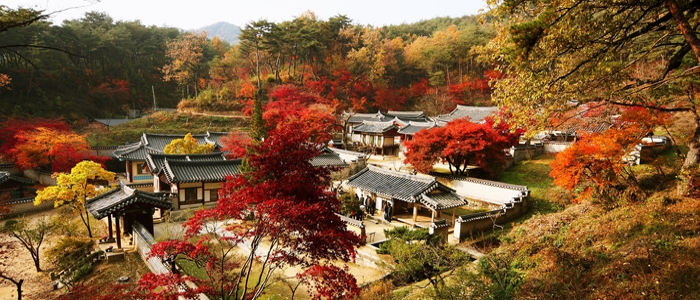 1_dosan3-seowon-confucian-school-fall.jpg