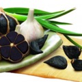 유럽 청정지역 헝가리 흑마늘 (fokhagyma) Blog 2018