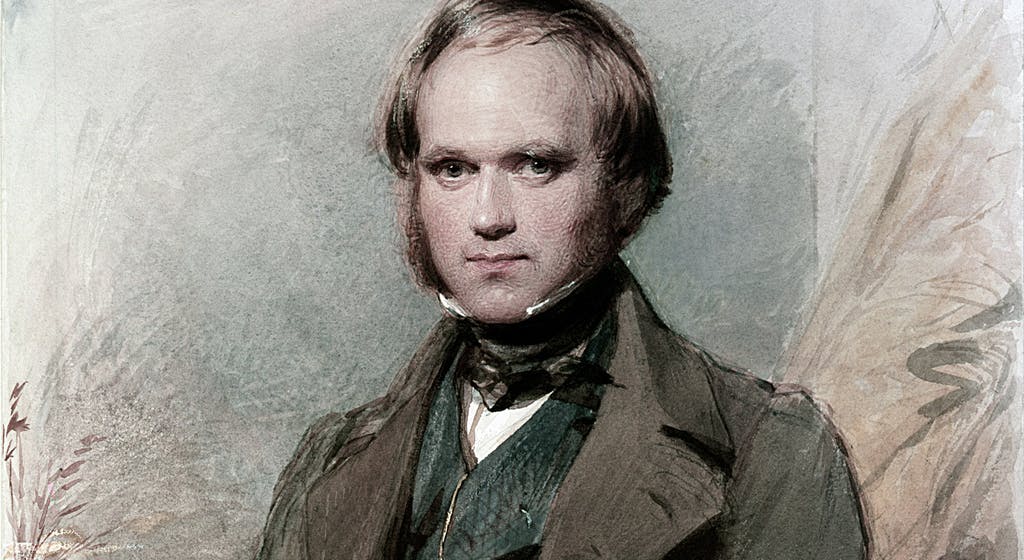 darwin.jpg