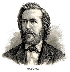 haeckel.jpg