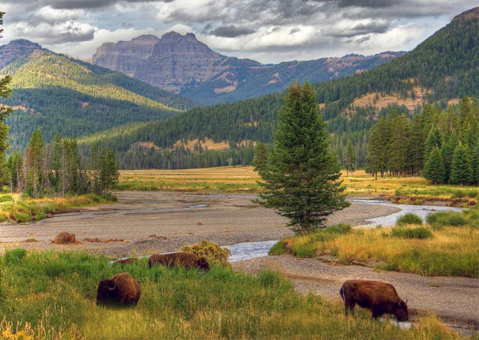 yellowstone.jpg